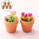 thumbnail image 5 of Plantas en macetas,1:12 casa de muñecas en miniatura plantas en macetas de rosas,1/12 casa de muñecas muebles juguetes planta en maceta,1:12 Casa de muñecas Adorno de jardín en miniatura, 5 of 9