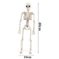 thumbnail image 3 of House  Skull Skeleton Decoration Simulated Human Plastic Bones Haunted House Decorative Skeleton Props, 3 of 7