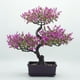 thumbnail image 1 of Combinación de simulación de planta en maceta, decoración de escritorio para el hogar, planta de simulación, bonsái, flor falsa de plástico, 1 of 5