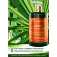 thumbnail image 3 of Botanical Hair Growth Ginger Shampoo with Saw Palmetto for Hair Loss and Hair Thinning Prevention Scalp Energizing Natural Thickening Shampoo For Hair Regrowth Fl Oz, 3 of 9