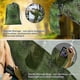 thumbnail image 4 of 2026 Camping Hammock With Mosquito Net - Ultra Lightweight & Durable Outdoor Travel Hammock For Camping Hiking Backpacking, 4 of 4