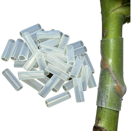 50/100pcs Silicone Grafting Sleeves for Fruit Trees, High-Elastic Thin-Walled Grafting Tubes, Rapid Plant Bonding, Gardening Tools for Fruit Trees, Vines, Roses & Cloning Plants (100, Clear, 1)