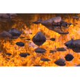 thumbnail image 1 of Autumn Reflections Poster Print by Carson Ganci, 34 x 22 - Large, 1 of 1