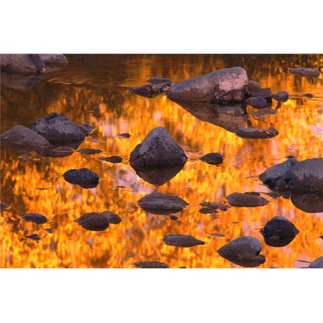 Autumn Reflections Poster Print by Carson Ganci, 34 x 22 - Large