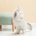 thumbnail image 4 of Labymos Interactive Cat Toy Pet Teaser Cat Toy Steel Wire Feather Bells Interactive Cat Stick, 4 of 8