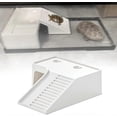 thumbnail image 4 of Turtle Basking Platform Large Ramp for Tortoises and Terrapins, Climbing Resting Terrace for Aquatic Pets, 4 of 5