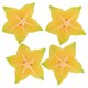 thumbnail image 1 of WASHWEPE 4Ud De Decorativos Resistentes Para Proyectos Creativos, 1 of 7