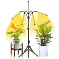 thumbnail image 2 of LED plant growth lamp USB full-spectrum warm white timing dimming indoor plant lamp flower tripod bracket plant lamp, 2 of 6
