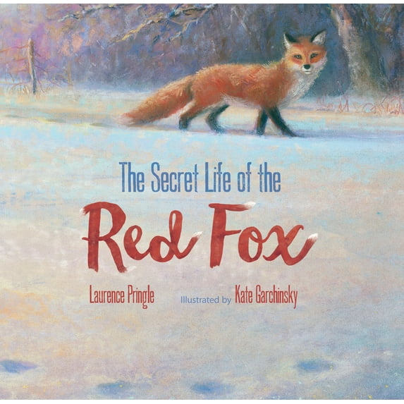 Pre-Owned The Secret Life of the Red Fox (Hardcover) by Laurence Pringle