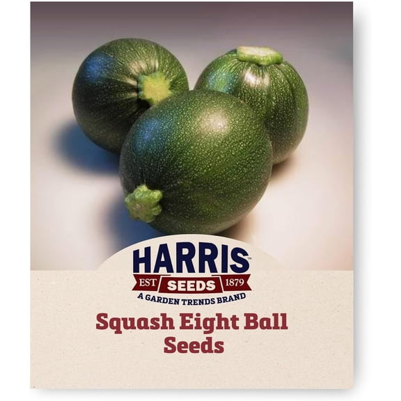 Harris Seeds Squash Eight Ball F1 Round Zucchini, Treated, 25 Count