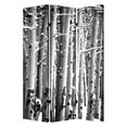 thumbnail image 1 of Écran en Toile de Bouleau Multicolore 48 Pouces X 72 Pouces, 1 of 1