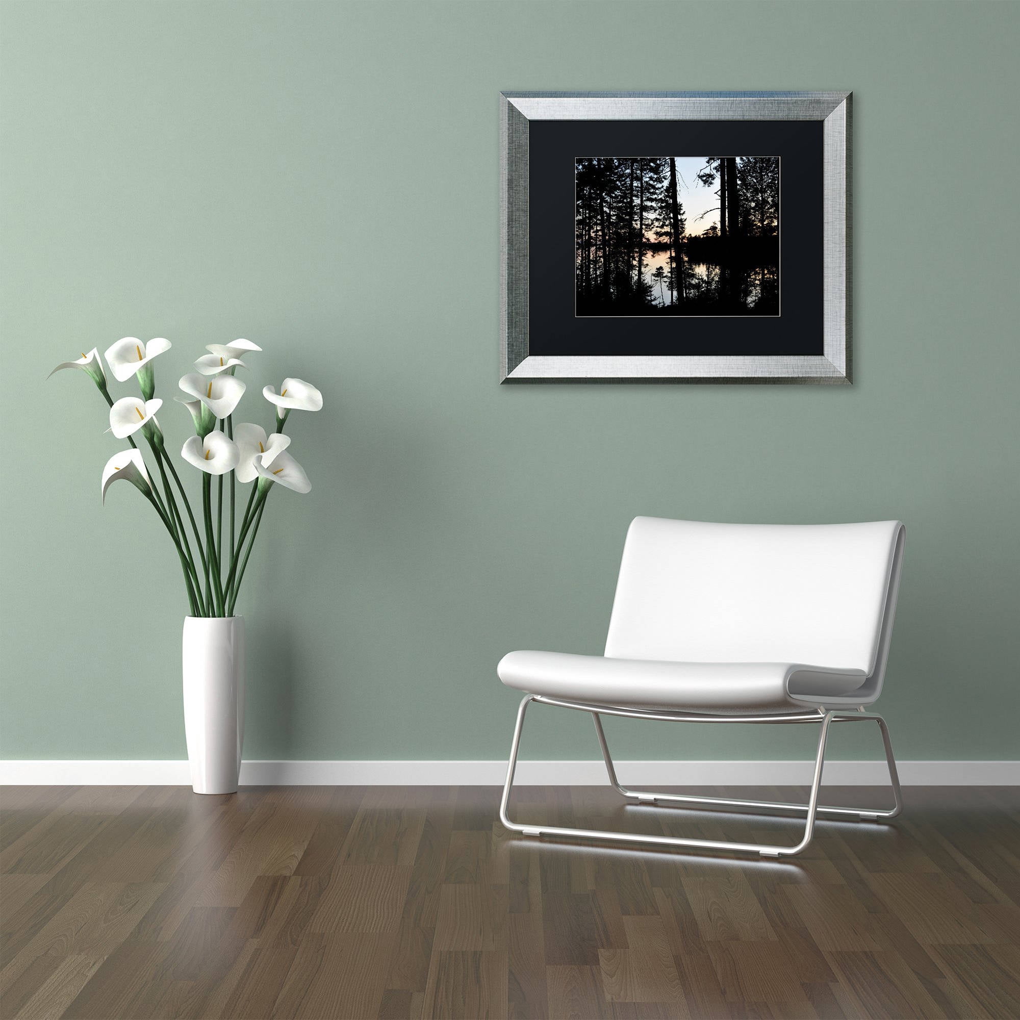 Trademark Fine Art 'Sunset Through the Trees' Canvas Art by Nicole Dietz, Black Matte, Silver Frame