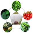 thumbnail image 2 of Reusable Garden Frost Protection Blanket Non Woven Winter Plant Protection Cover 2 X 10M, 2 of 9