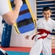 thumbnail image 2 of Objetivo de bloqueo de taekwondo para niños y adultos, manoplas de karate, equipo de entrenamiento de boxeo, almohadilla de boxeo con correas, equipo de boxeo para entrenamiento en casa, 2 of 8