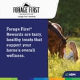thumbnail image 6 of ADM Forage First Horse Rewards 3 Lb. Apple Horse Treat 80876AAAB2, 6 of 7