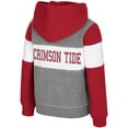 thumbnail image 3 of Toddler Colosseum  Heather Gray Alabama Crimson Tide Bert Full-Zip Hoodie, 3 of 3