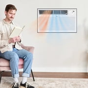 LG 10,000 BTU 230V Through-the-Wall Air Conditioner with 11,200 BTU Supplemental Heat Function, LT1033HNR