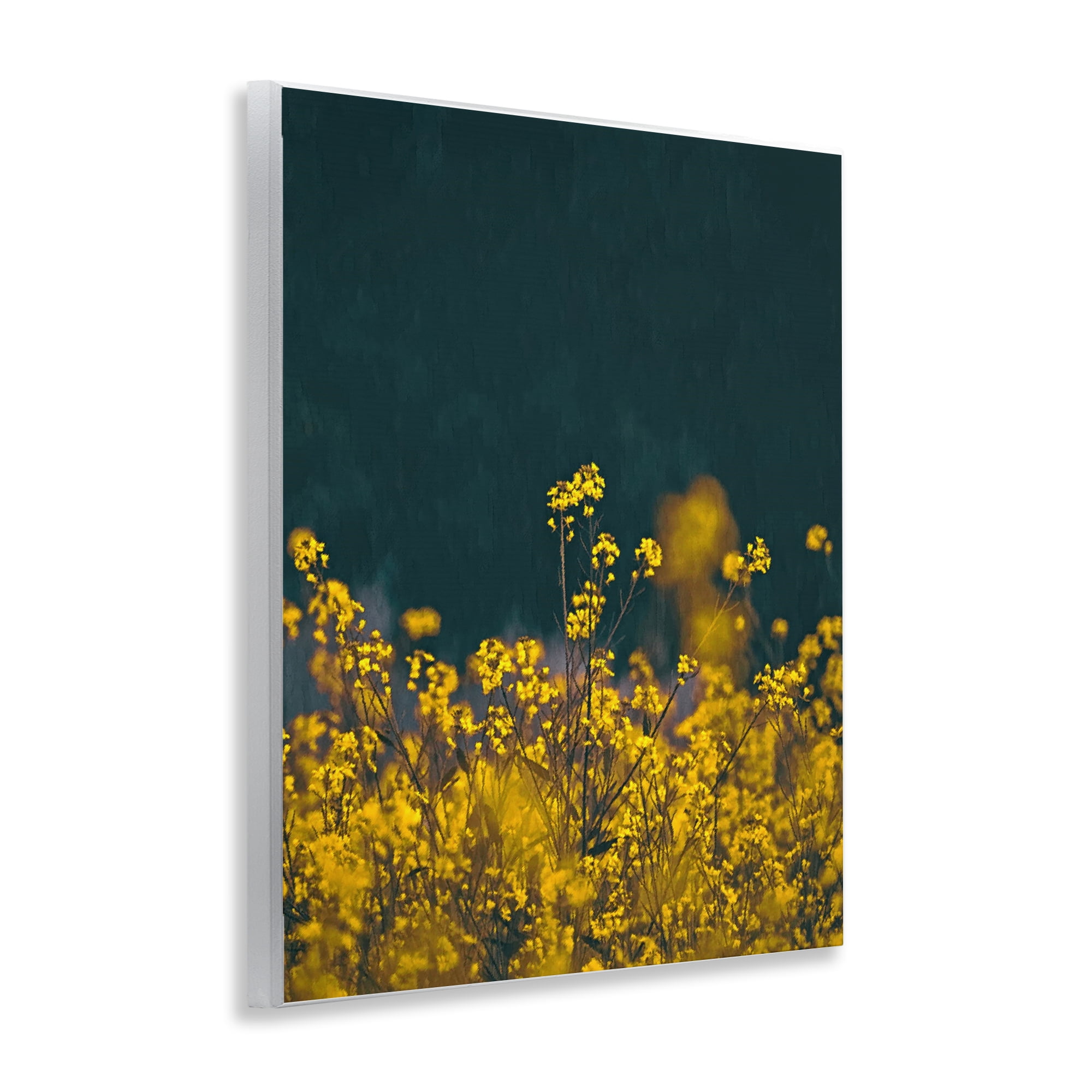 Stupell Industries Marigold Meadow Flowers Plants & Flowers Photography Unframed Art Print Wall Art, 11 x 14