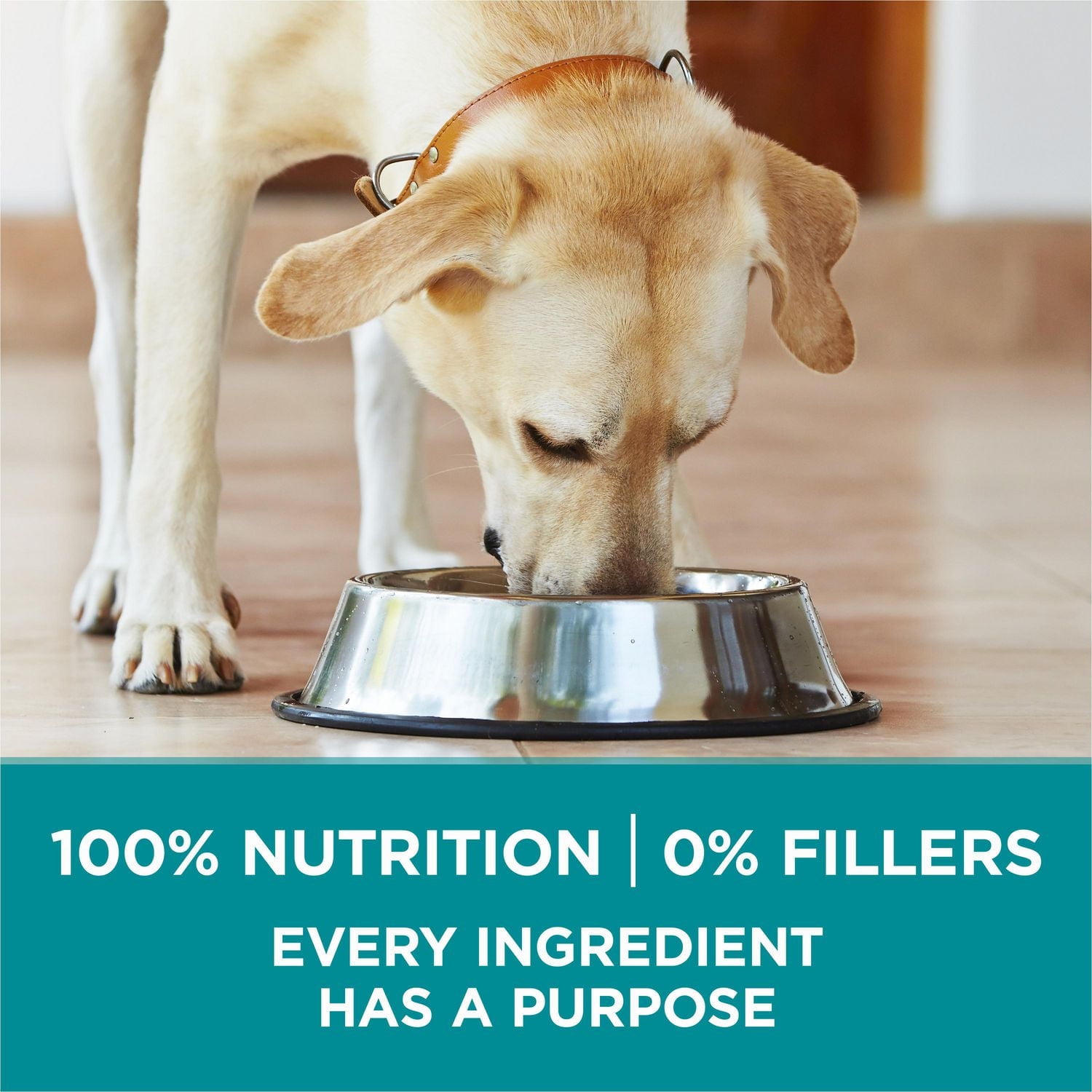 Purina ONE SmartBlend Large Breed Formula Chicken, Dry Dog Food