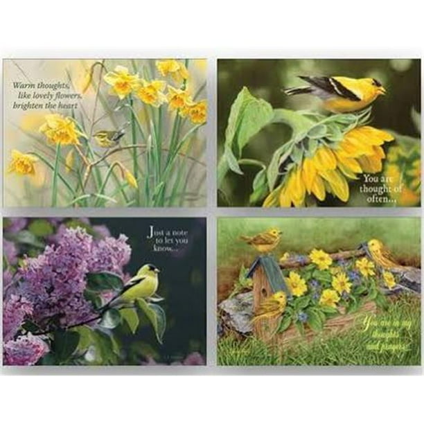 CardBoxedShared BlessingsThinking Of You 2Birds (Box Of 12