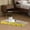 Wave 44.5x21x44cm, variant on Cat Scratchers Cardboard Scratch Pad Nest Interactive Toy Training Mat Toys Cat Scratcher Board Scratching Board for Furniture Protector 44.5x21x44cm