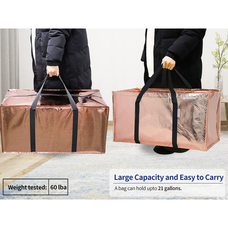 Lieselotte Multipurpose Heavy Duty Oversized Storage Bag with Zipper,Storage Tote for Travelling Moving Camping Rebrilliant Color: Gray