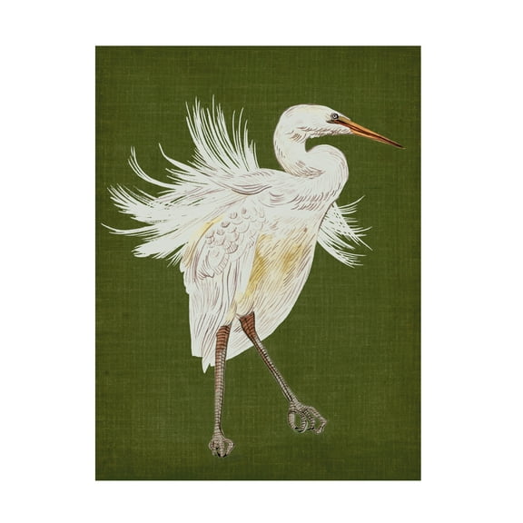 Melissa Wang 'Heron Plumage I' Canvas Art