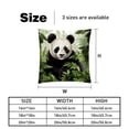 thumbnail image 5 of Panda Inserts with Chair Pillow Covers - Set of 2, Unique Patterns, Various Sizes 16x16, 18x18, 20x20 Inches for Home Decor and Special Occasions, 5 of 6