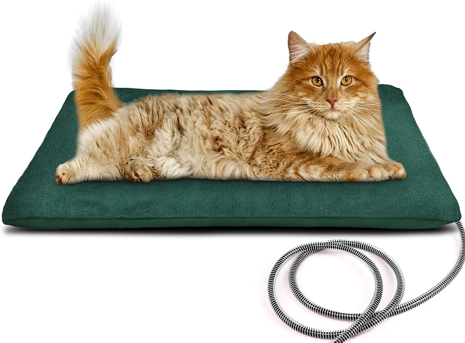 Dog Heating Pad Cat Heated Pad Pet Heated Mat for Kittens Puppies - China  Pet Heating Pad and Cat Heated Bed price