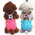 thumbnail image 3 of UDIYO Female Dog Diaper Cute Comfortable Washable Polka Dot Striped Sanitary Diaper Pet Physiological Pants for Home, 3 of 7