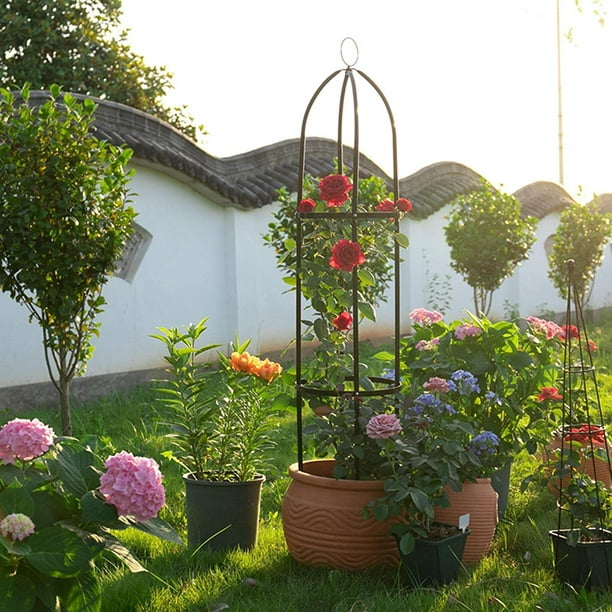 Treillis de jardin obélisque en métal, treillis de jardin pour arche de  légumes petit, treillis de jardin pour plantes d'extérieur grimpantes 6-8  pieds en plastique (noir, blanc) 