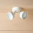 thumbnail image 3 of Cooper Lighting FTR1740LW Blanc Conduit Double Tête Ronde Lumière d'Inondation, 3 of 6