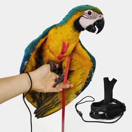 Adjustable Bird Harness with 78.7 Inch Leash Outdoor Flying Training Rope Kit for Bird Parrots Parrot Flying Rope Straps Outdoor Training Traction Rope for Small Medium Large Size Birds (S)