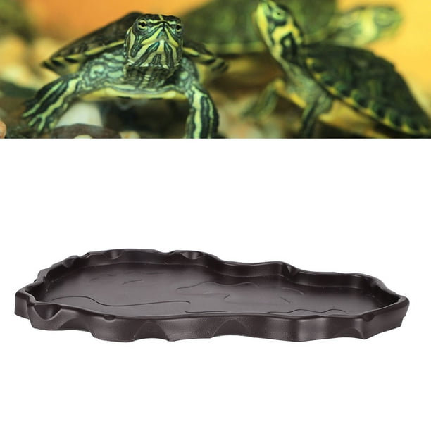 Bassin Plat D'alimentation En Plastique Léger Pour Reptiles, Plat