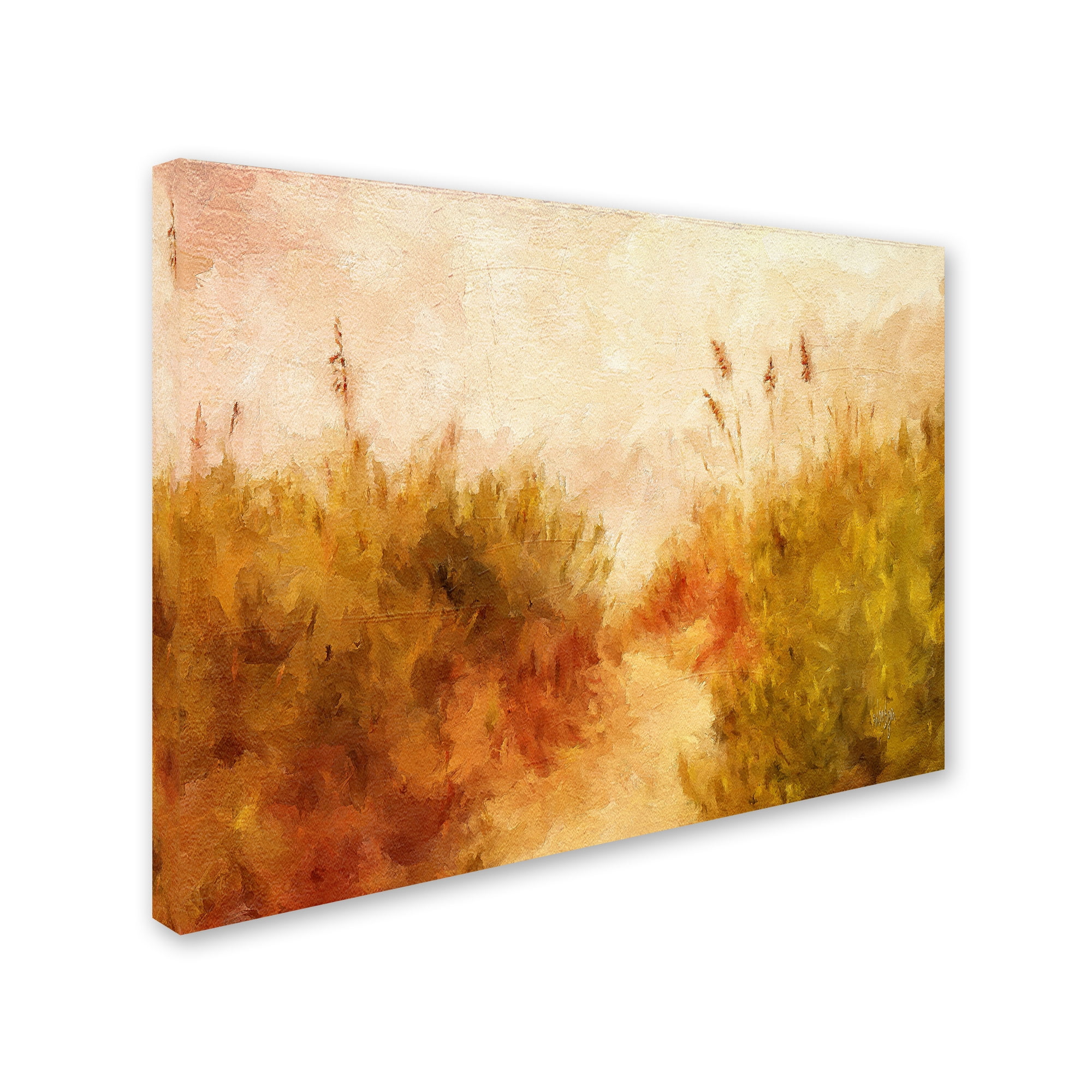 Trademark Fine Art "Beach Grass" Canvas Art by Lois Bryan