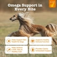 thumbnail image 4 of Zesty Paws Skin & Coat Bites for Dogs, Alaskan Omega Fish Oil for EPA & DHA, Chicken Flavor, 60 Count Soft Chews, 4 of 12