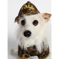 thumbnail image 3 of Kacey Lee Camo Print Y'all Pet Baseball Hat for Cats & Dogs, Green Camo, Extra Small/Small, 3 of 4