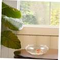 thumbnail image 4 of Bol à Poisson en Verre Transparent, Aquarium de Bureau pour Poissons Rouges, Crevettes et Plantes Hydroponiques, Conception Portable Multifonctionnelle, 4 of 5