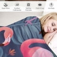 thumbnail image 3 of JRXY  Tropical Flamingos with Palm Leaves Throw Blanket Ultra Soft Warm All Season Decorative Blankets for Bed Chair Car Sofa Couch Bedroom White, 3 of 6
