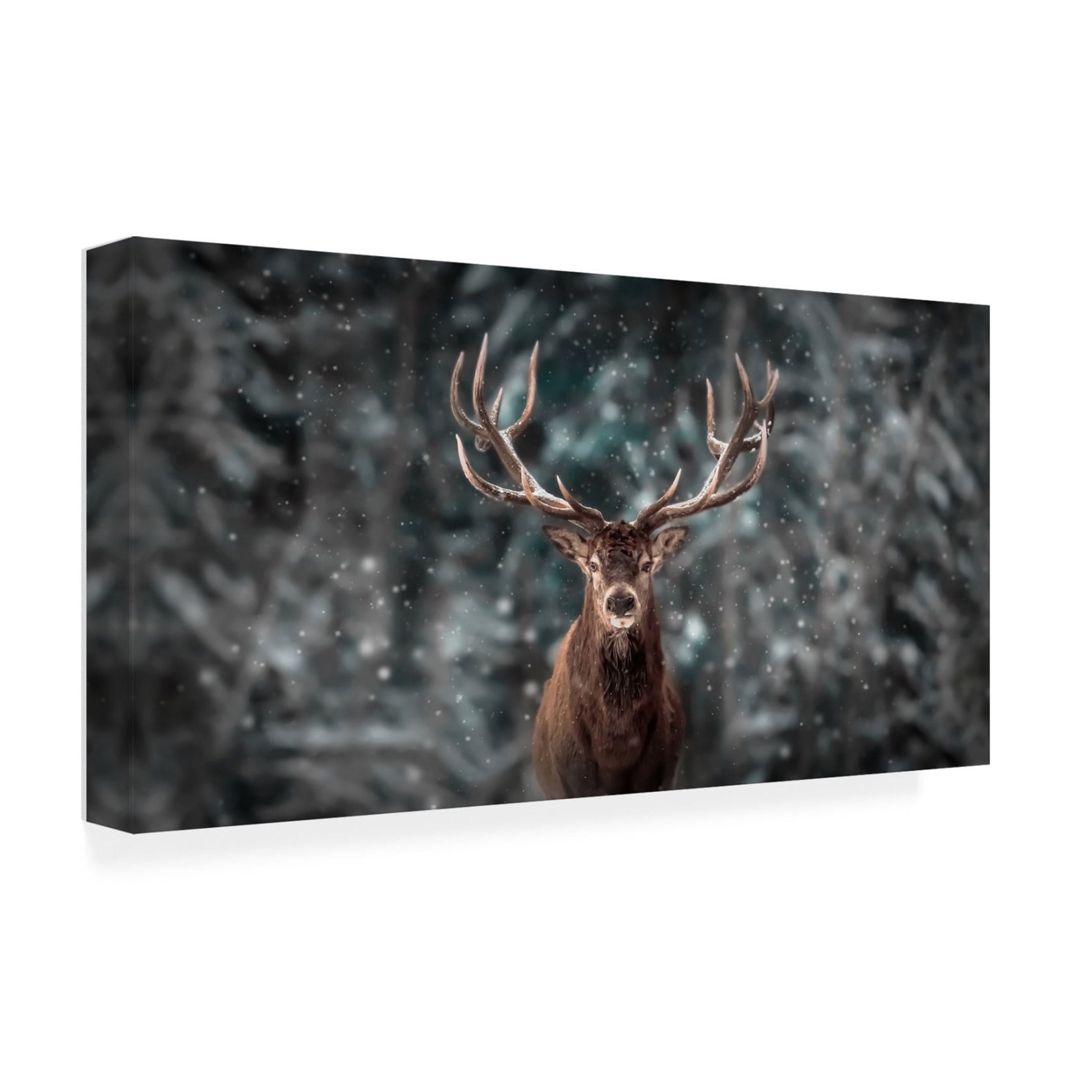 Trademark Fine Art Kim Lee Deer King Canvas Wall Art