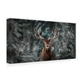 thumbnail image 4 of Trademark Fine Art Kim Lee Deer King Canvas Wall Art, 4 of 4