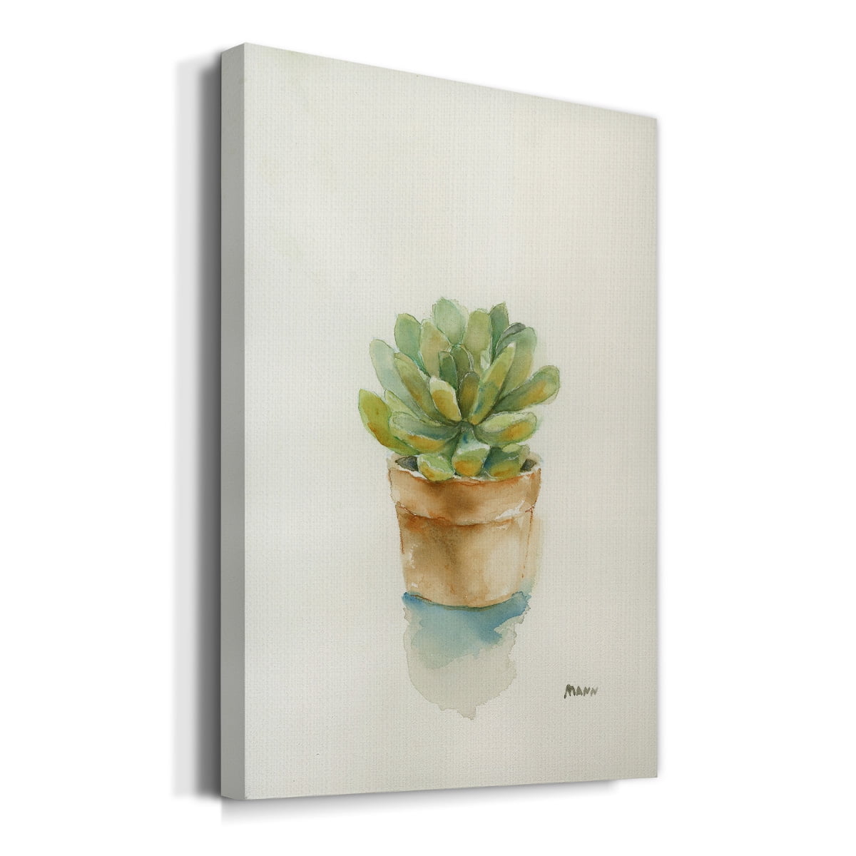 Succulent II Premium Gallery Wrapped Canvas - Ready to Hang