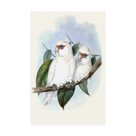 Trademark Fine Art 'Pastel Parrots IV' Canvas Art by John Gould