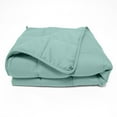 thumbnail image 1 of Quilted Microfiber Weighted Throw Blanket Turquoise / 41"x60" 10lbs, 1 of 1