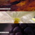 thumbnail image 4 of Difusor aromático Illume Beautifully Done Essentials BlackBerry Absinthe, 4 of 9