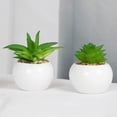thumbnail image 4 of Artificial Plant Vivid Natural PVC Realistic Fresh Keeping Mini Table Decor Artificial Succulents Bonsai for Desktop, 4 of 7
