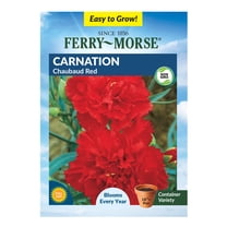 Ferry-Morse 160MG Carnation Chaubaud Red Perennial Flower Seeds, Full Sun