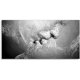 thumbnail image 1 of Decoración de pared JAMW lona pintura imagen 100 * 50 cm, 1 of 5