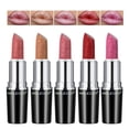 thumbnail image 1 of Anglicolor 5PCS L&aacute;piz Labial Brillo Met&aacute;Lico Rouge, Nude Pintalabios Metallic Brillo, Larga Duracion Glitter Lipstick High For Women Full-Coverage Lip, 1 of 7