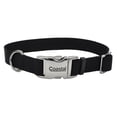 thumbnail image 1 of Collar para perro Coastal con hebilla metálica ajustable, 2 x 36 cm, color negro, 1 of 7